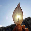 Breeze Leaf Pendant